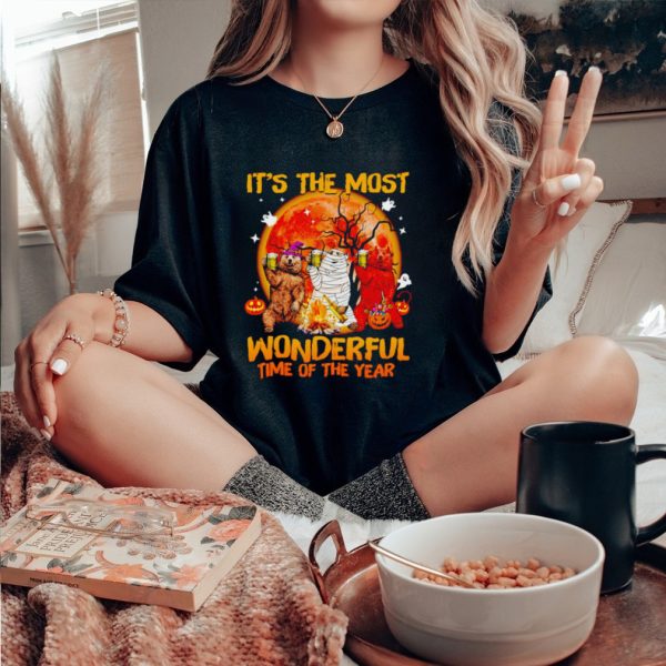 Bear Halloween it’s the most wonderful time of the year shirt