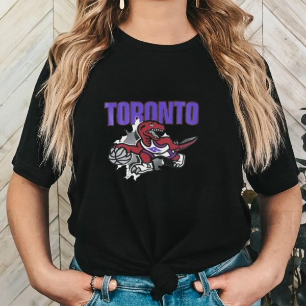 Toronto Raptors logo scratch vintage shirt