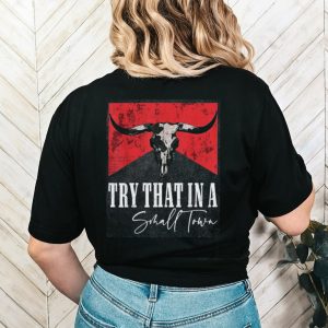 Vintage Try That In A Small Town Shirt Ason Aldean Shirt Country Music Shirt