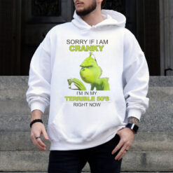 Sorry if i am cranky shirt