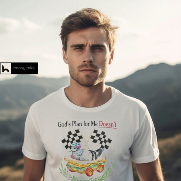 God’s plan for me doesn’t involve being sane T shirt