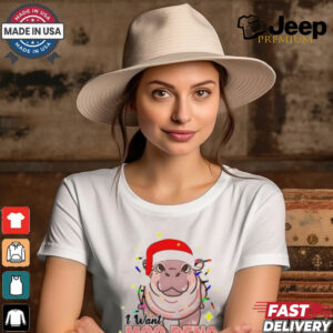 I Want Moo Deng For Christmas Santa Hat Shirt