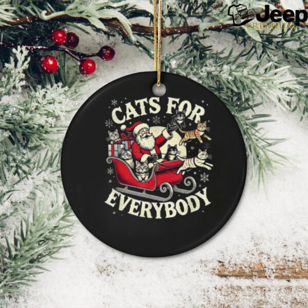 Cat santa cat lover cats for everybody Christmas 2024 T shirt