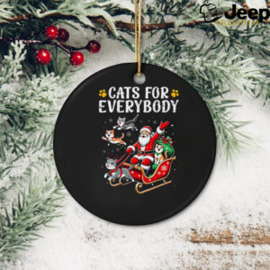 Cats For Everybody Christmas Cat Funny Xmas Men Women Santa T Shirt