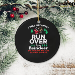 Christmas Runover By Reindeer Funny Xmas Women Men Kids T Shirt