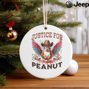 Justice For Peanut The Squirrel Peanut Squirrel Eagle Shirt