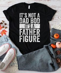 It's Not A Dad Bod It's A Father Figure _ Funny Vintage T Shirt