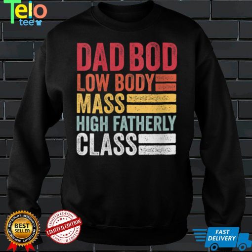 Womens Dad Bod Low Body Mass High Fatherly Class Funny Father Day V Neck T Shirt